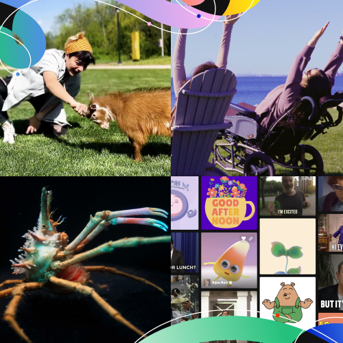 Image for The AIVA Team's Picks